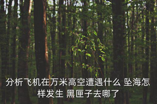 分析飛機在萬米高空遭遇什么 墜海怎樣發生 黑匣子去哪了