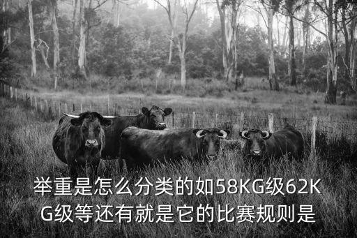舉重是怎么分類的如58KG級62KG級等還有就是它的比賽規(guī)則是