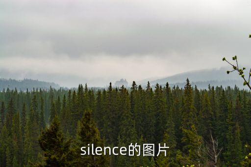 silence的圖片