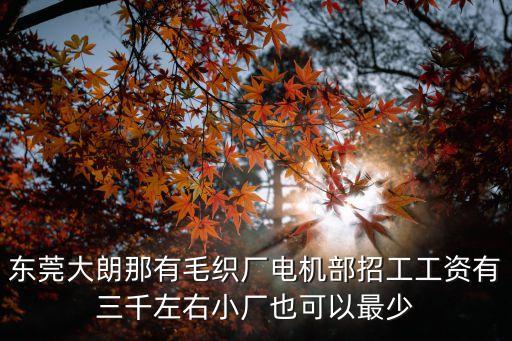 東莞坊織廠招聘，東莞些織帶廠在招聘技術員最好是正規點的
