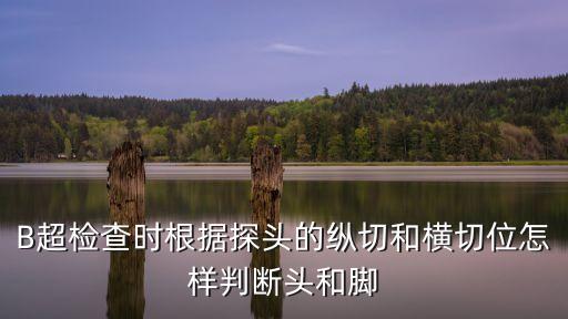 B超檢查時根據探頭的縱切和橫切位怎樣判斷頭和腳