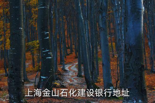 上海金山石化建設(shè)銀行地址