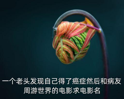 一個老頭發現自己得了癌癥然后和病友周游世界的電影求電影名