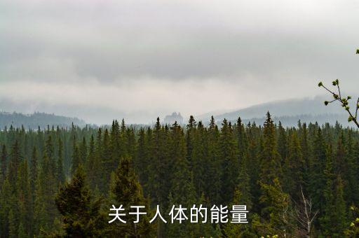 關(guān)于人體的能量