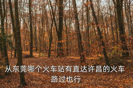 從東莞哪個火車站有直達許昌的火車 路過也行
