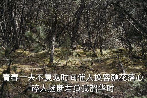 青春一去不復返時間催人換容顏花落心碎人腸斷君負我韶華時