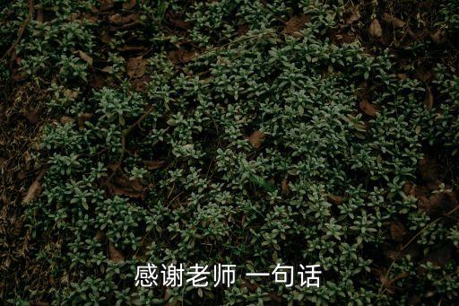 感謝老師的話簡短，2050字 感謝老師的話針對某件事急急急