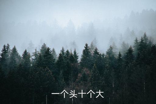 一個頭十個大