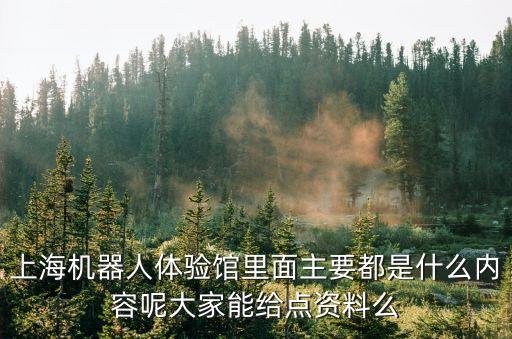 上海機(jī)器人體驗(yàn)館里面主要都是什么內(nèi)容呢大家能給點(diǎn)資料么