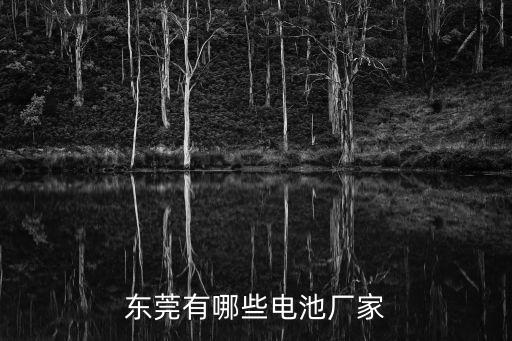東莞有哪些電池廠家
