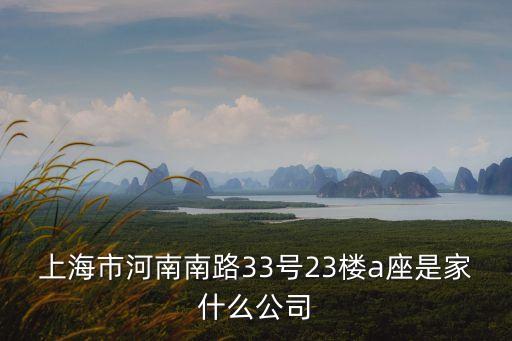 上海市天照實業(yè)有限公司，上海市河南南路33號23樓a座是家什么公司