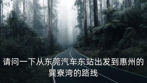 東莞東站到巽寮灣，請問一下從東莞汽車東站出發到惠州的巽寮灣的路線