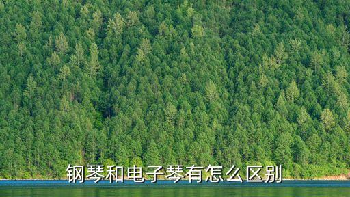 電子琴和鋼琴的區別，鋼琴和電子琴有怎么區別