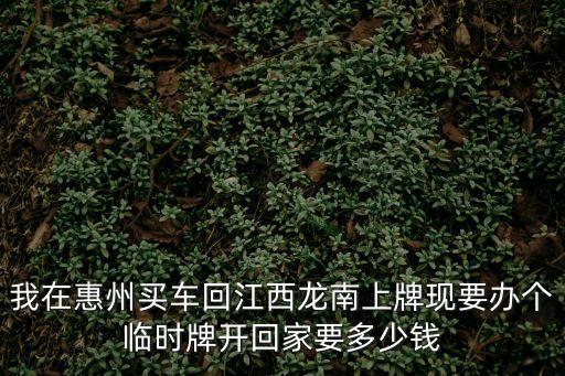 東莞市臨時車牌多少錢，辦臨時車牌需要多少錢