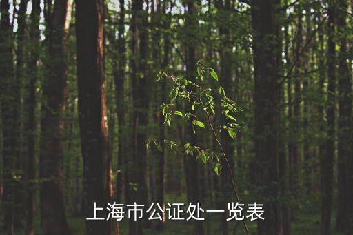 上海市公證處一覽表