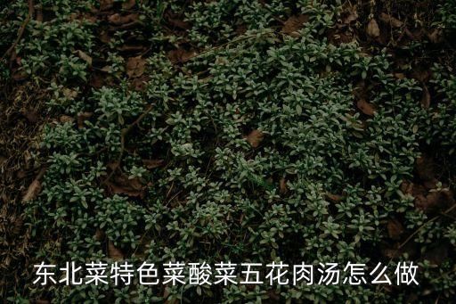東北菜特色菜酸菜五花肉湯怎么做