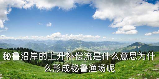 秘魯沿岸的上升補償流是什么意思為什么形成秘魯漁場呢