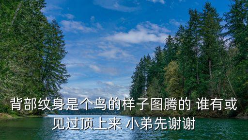 背部紋身是個鳥的樣子圖騰的 誰有或見過頂上來 小弟先謝謝