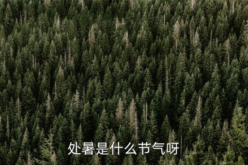 處暑節氣，處暑是什么節氣呀