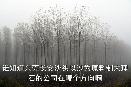 誰知道東莞長安沙頭以沙為原料制大理石的公司在哪個方向啊