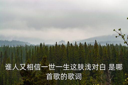 膚淺對白，一世一生這膚淺對白這句歌詞是什么意思