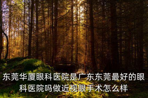 東莞華廈眼科醫(yī)院是廣東東莞最好的眼科醫(yī)院嗎做近視眼手術(shù)怎么樣