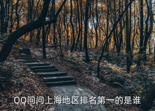 上海市第一名是哪個區的，QQ問問上海地區排名第一的是誰