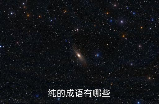 純的詞語，純的成語有哪些