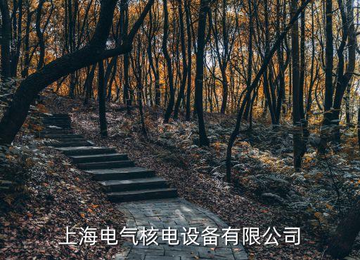上海電氣核電設備有限公司