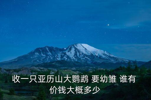 收一只亞歷山大鸚鵡 要幼雛 誰有 價錢大概多少
