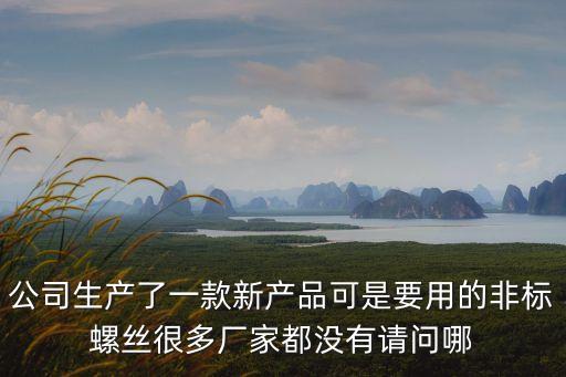 公司生產了一款新產品可是要用的非標螺絲很多廠家都沒有請問哪