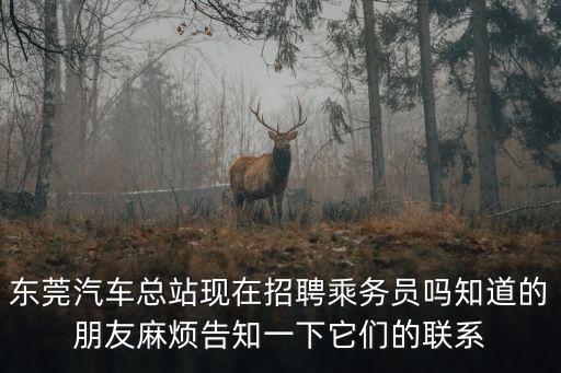 東莞汽車總站現在招聘乘務員嗎知道的朋友麻煩告知一下它們的聯系