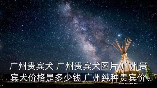 純種貴賓犬圖片，廣州貴賓犬 廣州貴賓犬圖片 廣州貴賓犬價格是多少錢 廣州純種貴賓價