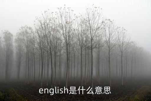 破壞英語，破壞這個單詞怎么寫