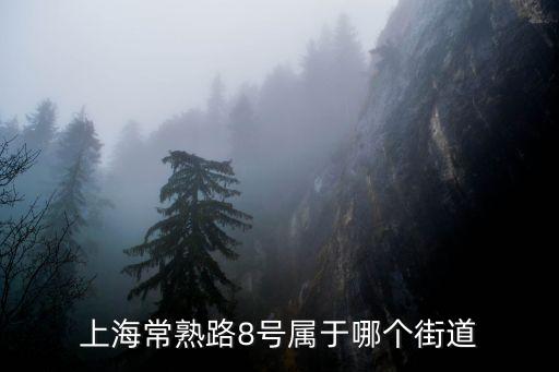 上海市常熟路8號靜安廣場717室 什么區，上海常熟路8號屬于哪個街道
