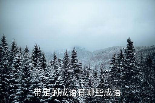 帶定的成語(yǔ)有哪些成語(yǔ)