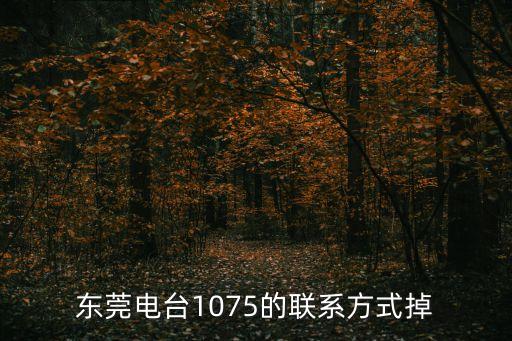 東莞電臺1075的聯(lián)系方式掉