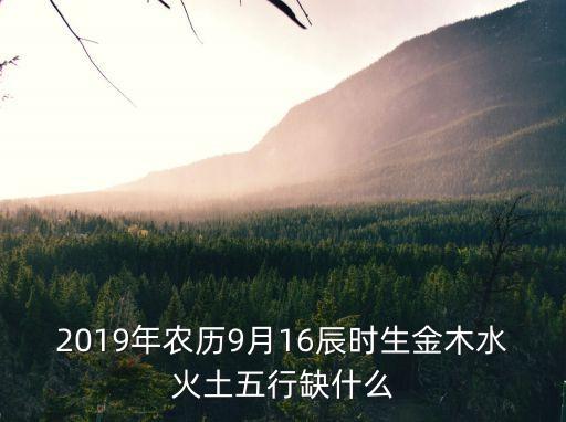 2019年五行，2019年金木水火土數字多少