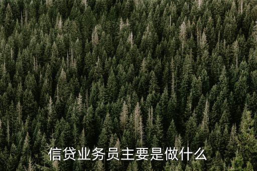 信貸業務員，貸款業務員 是做什么的