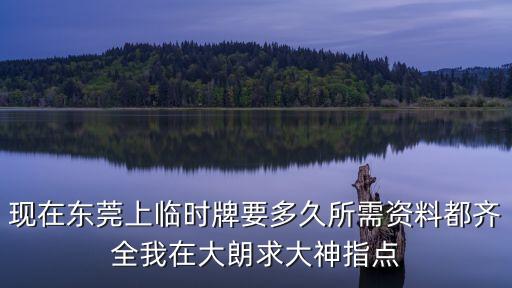 現在東莞上臨時牌要多久所需資料都齊全我在大朗求大神指點
