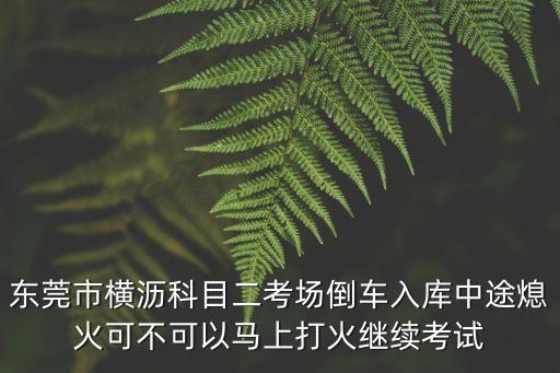 東莞科二考場視頻，東莞虎門科目二考試場倒庫的車后視鏡里看庫看起來好小車子感覺