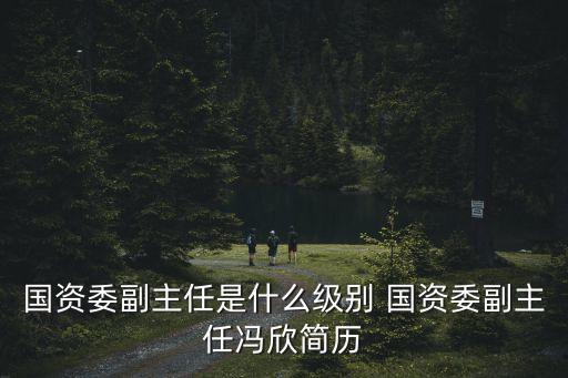 國資委副主任是什么級別 國資委副主任馮欣簡歷