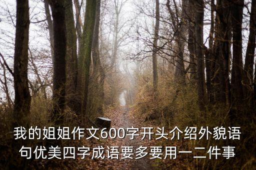 我的姐姐作文600字開頭介紹外貌語句優美四字成語要多要用一二件事