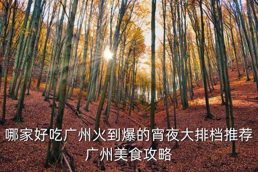 廣東大排檔，哪家好吃廣州火到爆的宵夜大排檔推薦廣州美食攻略