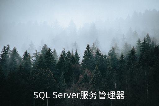 SQL Server服務管理器