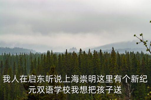 上海市崇明區天新小學，想知道 上海市 上海市崇明樹新小學 在哪