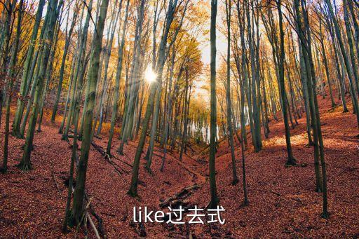 like的過去式，like過去式