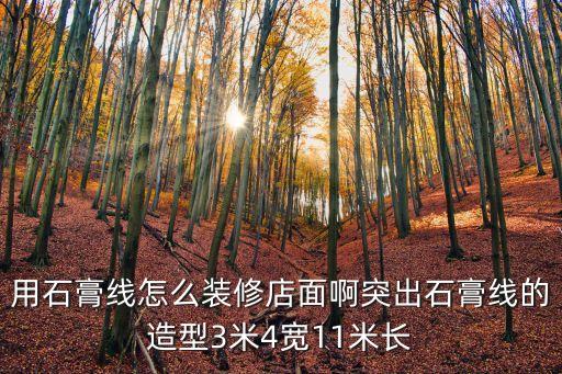 用石膏線怎么裝修店面啊突出石膏線的造型3米4寬11米長