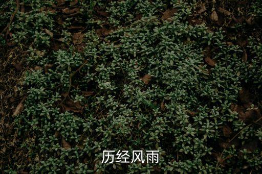 歷經風雨，歷經風雨塵寰外這句詩怎么解釋
