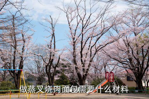 叉燒面包，做蒸叉燒肉面包需要什么材料